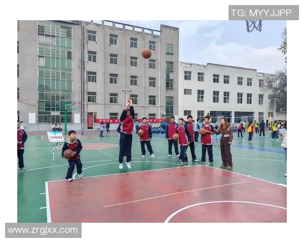 南京篮球队区域防守革新之路探索与实践分析